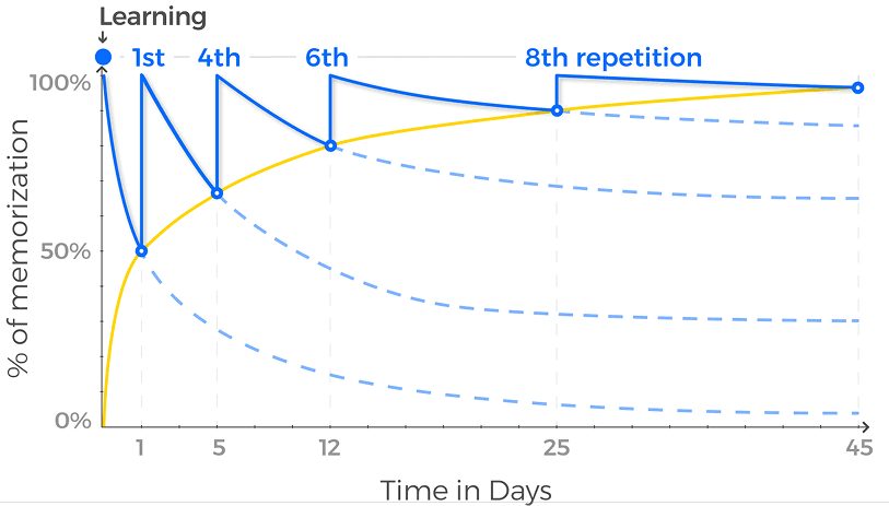 Spaced Repetition Graph